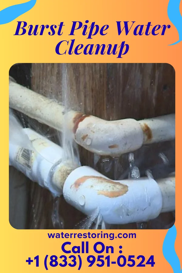 Burst Pipe Water Cleanup in Hollywood, FL