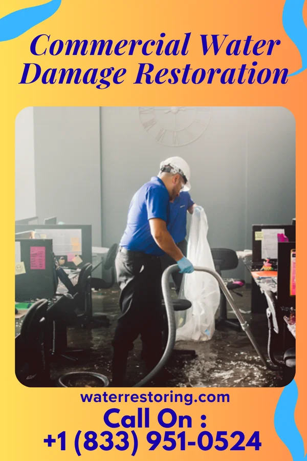 Commercial Water Damage Restoration in Hollywood, FL